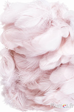 Hen - 5-9 cm - beige roze